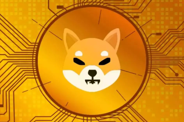 SHIB INU COIN